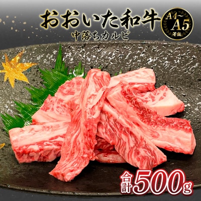 厳選A4～A5等級 おおいた和牛 中落ちカルビ 500g_A01133