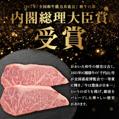 【敬老の日ギフト】 百年の恵み おおいた和牛A5 ステーキ用厚切り【厳選部位】_A01104-K