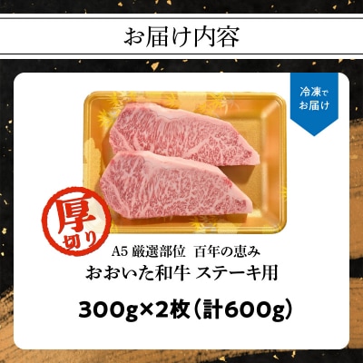 【敬老の日ギフト】 百年の恵み おおいた和牛A5 ステーキ用厚切り【厳選部位】_A01104-K