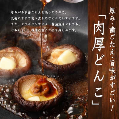 【敬老の日ギフト】原木乾椎茸 どんこ5袋セット(合計500g)≪9月21日お届け≫_F07032-K
