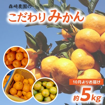 森﨑農園のこだわりみかん 約5kg 極早生～ 早生～蔵出し_C09023