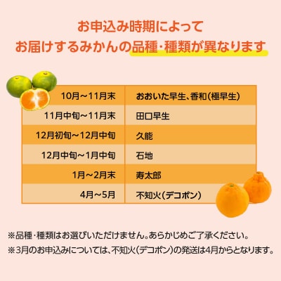 森﨑農園のこだわりみかん 約5kg 極早生～ 早生～蔵出し_C09023