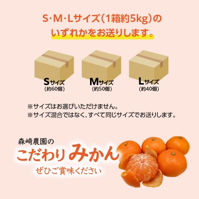 森﨑農園のこだわりみかん 約5kg 極早生～ 早生～蔵出し_C09023