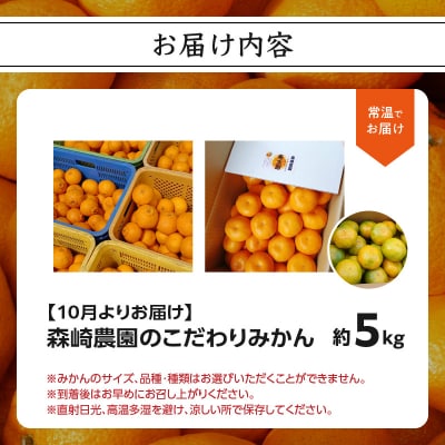 森﨑農園のこだわりみかん 約5kg 極早生～ 早生～蔵出し_C09023