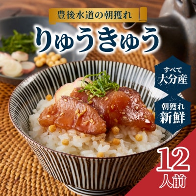 豊後水道の朝獲れ　りゅうきゅう　【12人前】_E22030