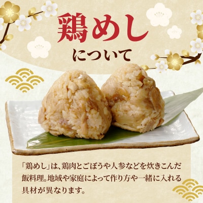 豊後の鶏めし【10人前】_A03039