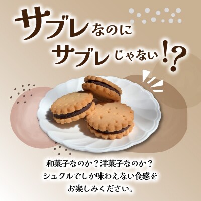 大分銘菓 塩サブレ ミックス 10個入り_J01035
