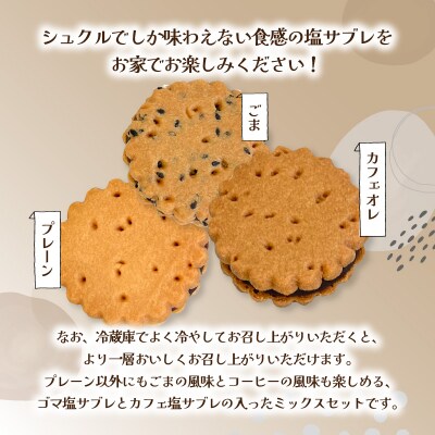 大分銘菓 塩サブレ ミックス 10個入り_J01035