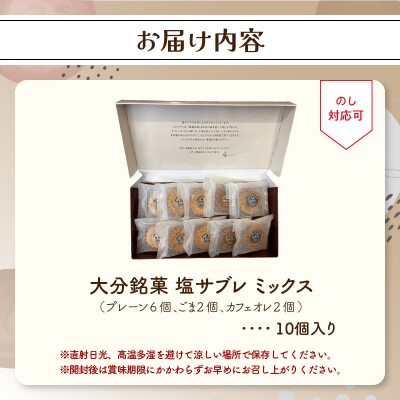 大分銘菓 塩サブレ ミックス 10個入り_J01035