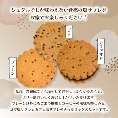 大分銘菓 塩サブレ ミックス 20個入り_J01036