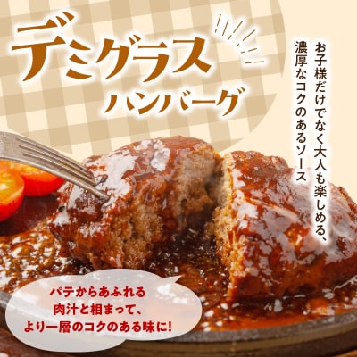 デミグラスハンバーグ・和風おろしハンバーグセット各160g×6個_A05071