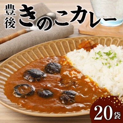 【お歳暮】(C)豊後きのこカレー〈12月13日～20日内に発送〉_F07026-O