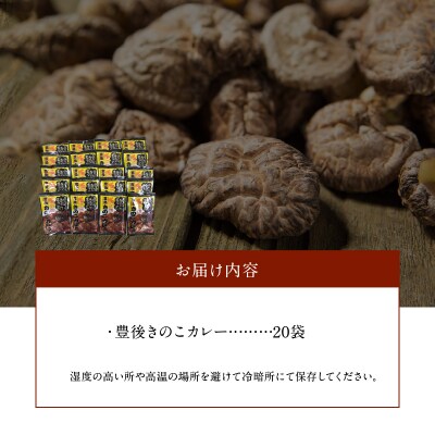 【お歳暮】(C)豊後きのこカレー〈12月13日～20日内に発送〉_F07026-O