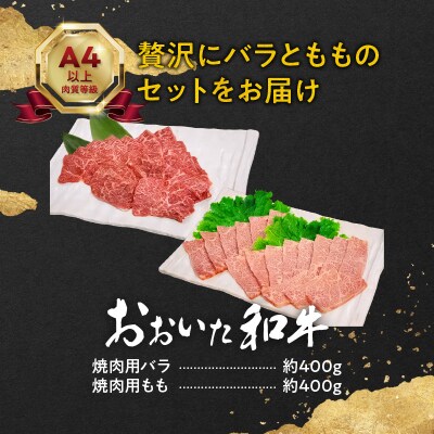 おおいた和牛バラ・もも焼肉用　合計約800g_A01119