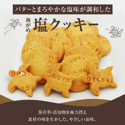 海がめ塩クッキー充実BOX (57枚+子がめクッキー3枚) 箱入り_J01018