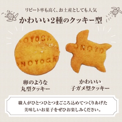 海がめ塩クッキー充実BOX (57枚+子がめクッキー3枚) 箱入り_J01018