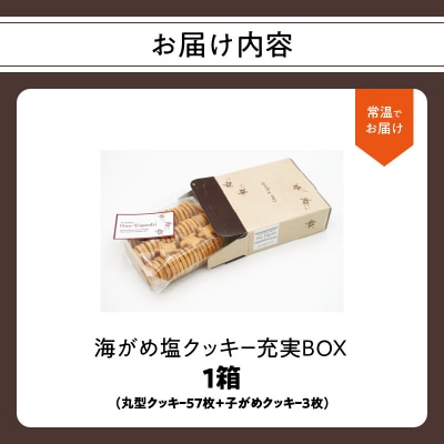 海がめ塩クッキー充実BOX (57枚+子がめクッキー3枚) 箱入り_J01018