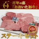 百年の恵 「おおいた和牛」 ステーキセット約800g_A01066