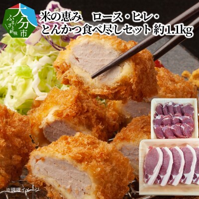 米の恵み　ロース・ヒレ・とんかつ食べ尽しセット　約1.1kg_A02023