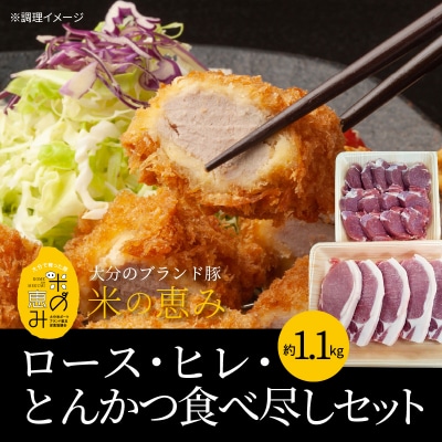米の恵み　ロース・ヒレ・とんかつ食べ尽しセット　約1.1kg_A02023