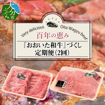 百年の恵み『おおいた和牛』づくし定期便(2回)_T10005