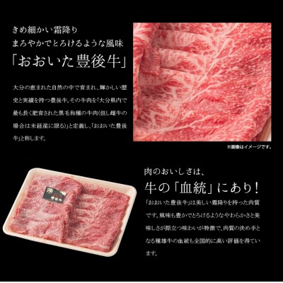 百年の恵み『おおいた和牛』づくし定期便(2回)_T10005