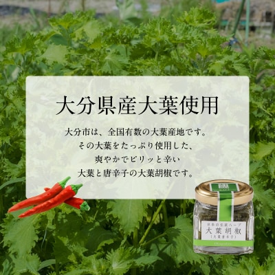 大葉胡椒 4個セット_K01013