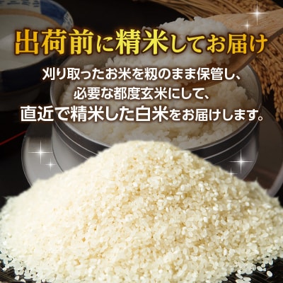 丹生米の里 丹川のお米 ヒノヒカリ白米 5kg_B01027