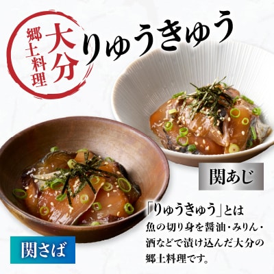 関あじ・関さばりゅうきゅうパック_E19002