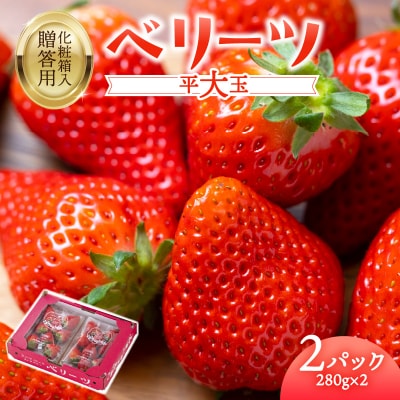【先行受付※2025年2月下旬より発送開始】大分県ブランドいちご「ベリーツ」2パック_C07007