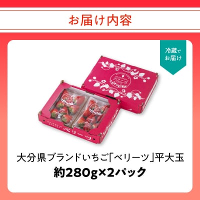 【先行受付※2026年2月下旬より発送開始】大分県ブランドいちご「ベリーツ」2パック_C07007