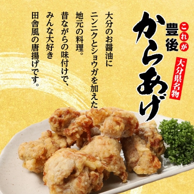 大分名物!とり天・唐揚げ 各4パック(6回お届け定期便)_T10013