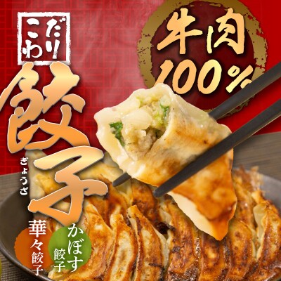 牛肉100%の餃子　華永の華々餃子×かぼす餃子　14個入り各1パック_A07004