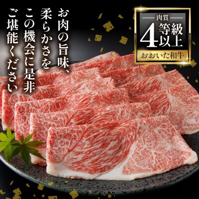 A4等級以上 百年の恵おおいた和牛 すき焼き・しゃぶしゃぶ用ウデ800g_A01137