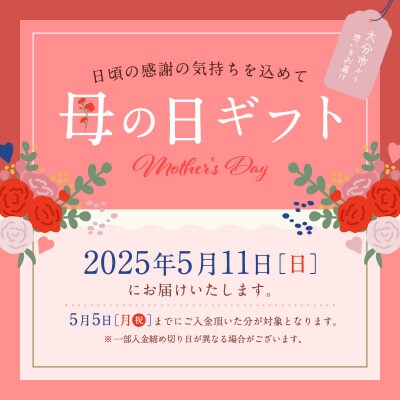 【母の日ギフト】カーネーションの鉢植え キリンのアニマルバスケット入り鉢サイズ3号_R07011-H