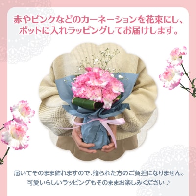 【母の日】そのまま飾れるブーケ 赤とピンク12本 ポット付き≪5月10日お届け≫_R07012-H