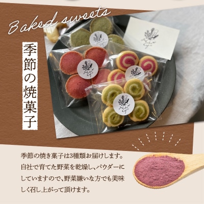 チャイの素+季節の焼菓子_K10027