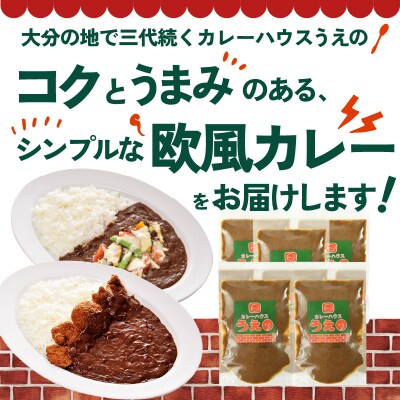 大分の味、受け継がれる魂のうえのビーフカレー　5袋_K03028