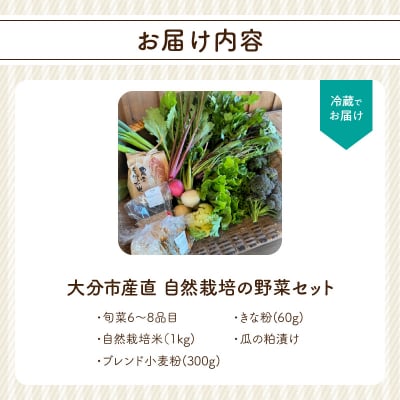 むかし野菜の邑　大分市産直　自然栽培の野菜セット_F01005