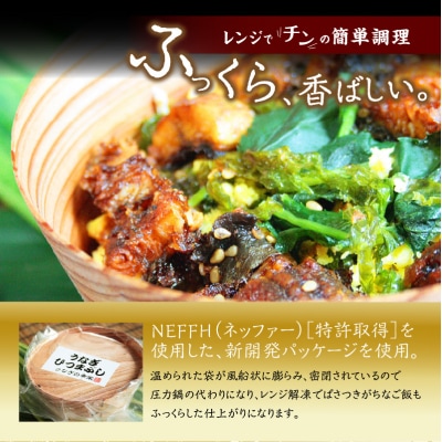 【父の日ギフト】 うなぎひつまぶし ≪6月21日お届け≫_E07005-C