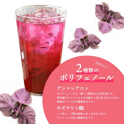 【お中元ギフト】赤しそジュース(加糖・無糖・オリゴ糖セット)900ml×各1本_F10040-S