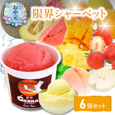 【お中元ギフト】 限界シャーベット 6個セット ≪7/1～8/9の期間に発送≫_J06018-S
