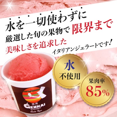 【お中元ギフト】限界シャーベット 6個セット《7/1～8/8の期間にお届け》_J06018-S