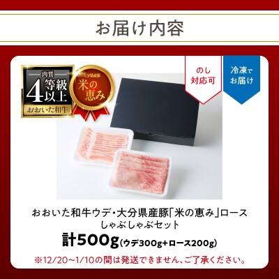 「おおいた和牛」300gと大分県産豚「米の恵み」200gのしゃぶしゃぶセット_A01138
