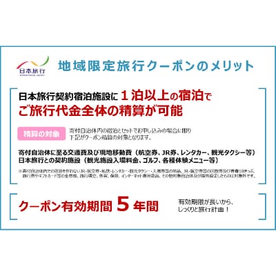 大分県大分市 日本旅行 地域限定旅行クーポン 【15,000円分】_O02048