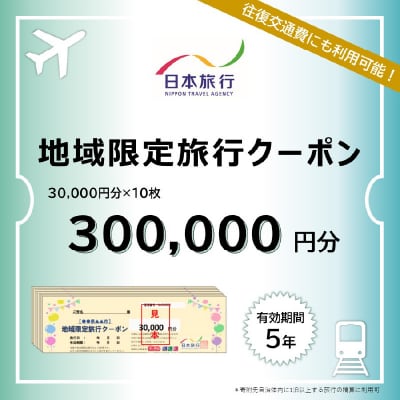 大分県大分市 日本旅行 地域限定旅行クーポン 【300,000円分】_O02053