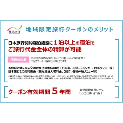 大分県大分市 日本旅行 地域限定旅行クーポン 【90,000円分】_O02051