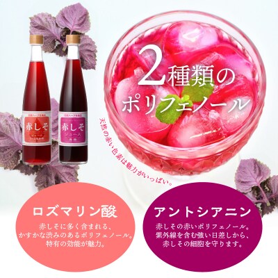 赤しそジュース 加糖タイプ 無糖タイプ 500ml×各1本セット_F10043
