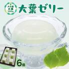 大葉ゼリー 6個入り _J05008