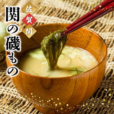 関の磯もの_E22008